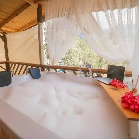 Tiny Timber Hotel