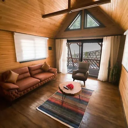 Tiny Timber Kaş