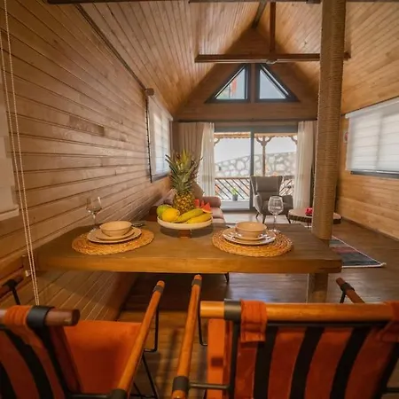 Hotel Tiny Timber *